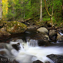 AGNES GORDON - @AGNESGORDON - Twitter