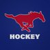 SMU Hockey (@smuhockey) Twitter profile photo SMU Hockey (@smuhockey) Twitter profile photo