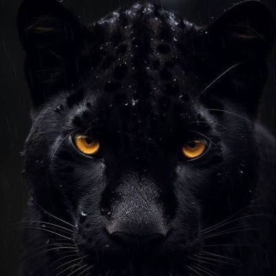 emin666789's profile picture. 