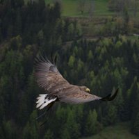 I_K (@iftakhar_kazim) 's Twitter Profile