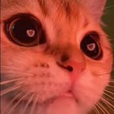soandem77's profile picture. 