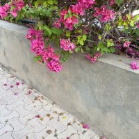 رُبا | ٨:١٨ (@xiirub) Twitter profile photo