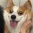 Amoteluv_u's profile image