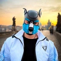Pup Atlas 🔜 (@pupatlas22) 's Twitter Profile