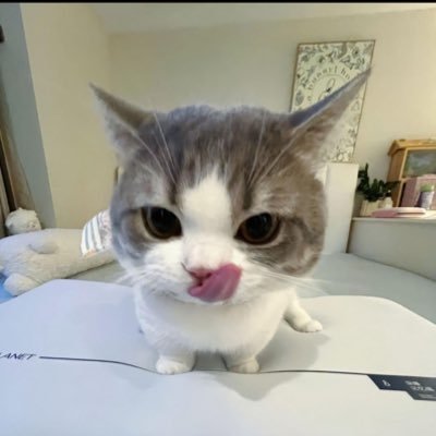 couldcryjust's profile picture. 05 たのしい♪