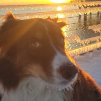 RiverEdge Superintendent (@edgesuper1) 's Twitter Profile Photo RiverEdge Superintendent (@edgesuper1) 's Twitter Profile Photo