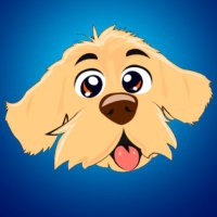 Fiapo Coin (@fiapocoin) 's Twitter Profile