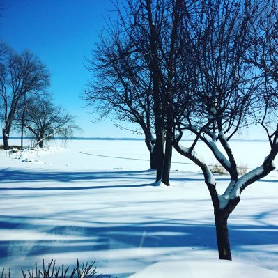 maryschulzwi's profile picture. conservative - 🇺🇸