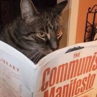 Leprig (@prig_mathis) 's Twitter Profile