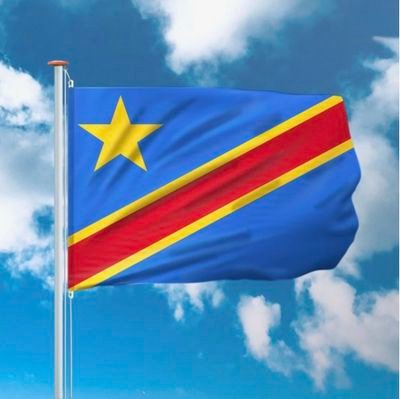 🇨🇩 MARKETING-FINANCE & LOGISTIC ENTREPRENEUR CEO/A.I.M.E ONG/MBC-RDC/Aujourd'hui Business Sarl, founder @aujourd'huiB,@aime-rdc