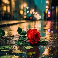سلا (@sl9178131464846) Twitter profile photo
