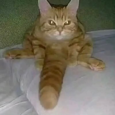 da3th4's profile picture. 旮旯给木里不是这样的😭