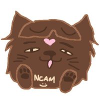 NCAM🇪🇦😵‍💫|🐻‍❄️🧊 (@ncam200) 's Twitter Profile Photo