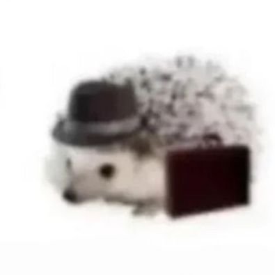 Pixel art.
Voxel models.
Heghog.
These are words that I know
