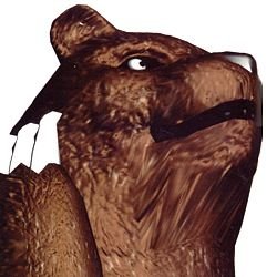 moskamanso's profile picture. 