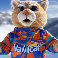 vailcat (@vailcat) 's Twitter Profile