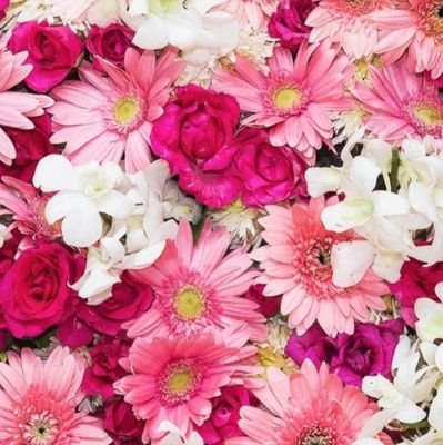 justdaisy005's profile picture. Life is good🌸