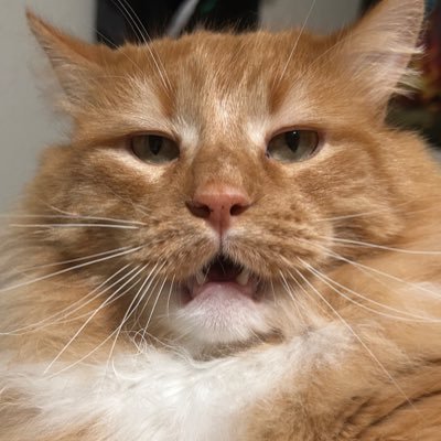 HateAsstrails's profile picture. Cares about the future or lesser individuals