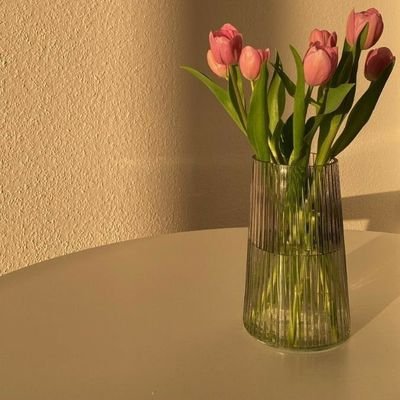 D_5moo's profile picture. إنما الورد من الشوك وما .. 
ينبت النرجـس إلا مـن بصل . . ♡