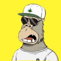 Plan ADA & WMT (@cryptosurfsup) Twitter profile photo