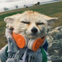 Drifthere (@just_sanser) 's Twitter Profile Photo Drifthere (@just_sanser) 's Twitter Profile Photo