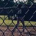 Trenton Wierzbicki (@trentonw_13) Twitter profile photo Trenton Wierzbicki (@trentonw_13) Twitter profile photo