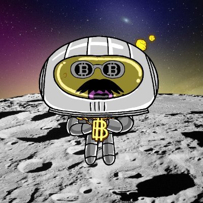 tiennguyen2702's profile picture. $FAN Maxi