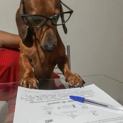 futura estudante de veterinĆ”ria da UFG š©ŗš¾