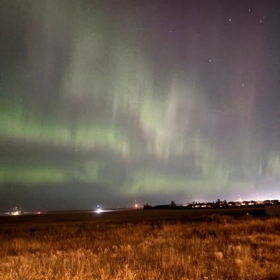 MrMartini424894's profile picture. 