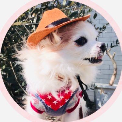 kinoco2020's profile picture. 旅行と阪神タイガースが好き♡ お料理も好き🍳愛犬チワワ🐶家族love💖今年はやることいっぱい！目標に向けて没頭して過ごします♫京都生まれ🌱