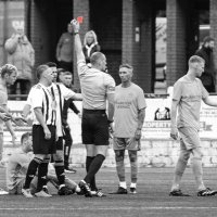 Sean Murdoch (@sean_murdoch_) 's Twitter Profile