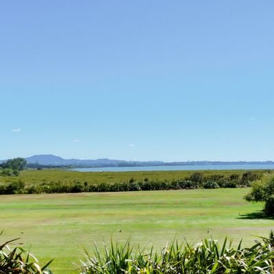 NtoshiW's profile picture. えぬとし