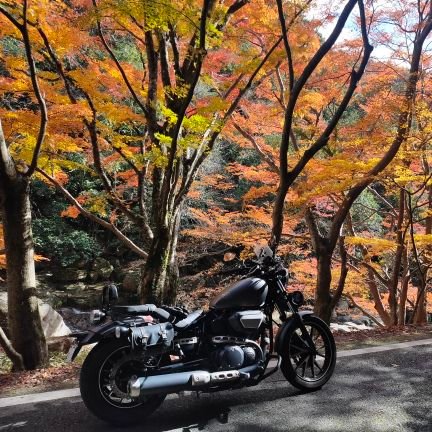 6f66dvhn6nXsqwO's profile picture. 皆様こんにゃくは。
特に紹介はないので😃。
喜び、よろしくお願いいたします