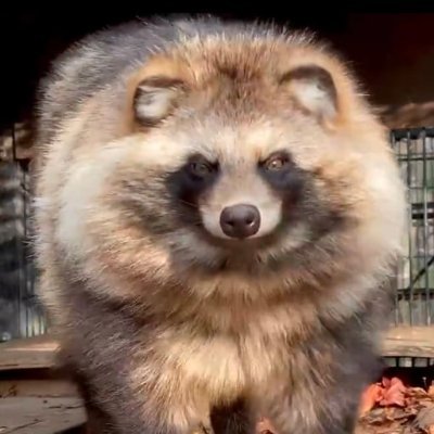 arpzu67668279's profile picture. CA:Gxgkct3GqptA3dTzj2WKJXYcgtzQC8aXNYiKExTTGKsh