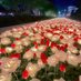 فؤاد (@fwd1688331) Twitter profile photo فؤاد (@fwd1688331) Twitter profile photo