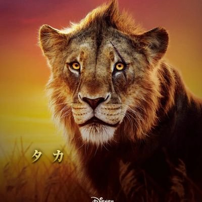 pzejm88510's profile picture. よろしくお願いします