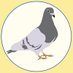 Nayon Loft & Pets (@nayonloft) Twitter profile photo Nayon Loft & Pets (@nayonloft) Twitter profile photo