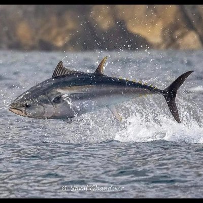 socali714's profile picture. 