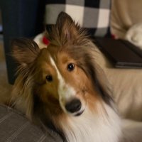 Michelle O GRADY (@o_michelle65289) 's Twitter Profile Photo Michelle O GRADY (@o_michelle65289) 's Twitter Profile Photo