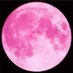 PS13-180 (@ae86_mom) Twitter profile photo PS13-180 (@ae86_mom) Twitter profile photo