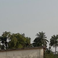 Mysaviour (@mysaviour117) 's Twitter Profile