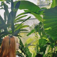 Miss Lock (@greenthumbta) 's Twitter Profile