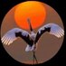 ام السوس 💛💛💛 (@oumelsus) Twitter profile photo ام السوس 💛💛💛 (@oumelsus) Twitter profile photo