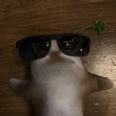 PepeTheCat2025's profile picture. what up world.