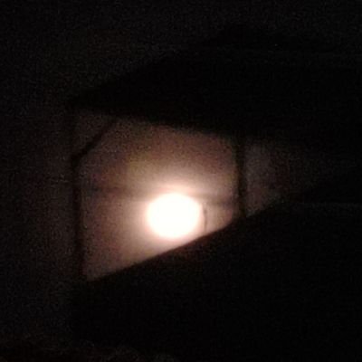 Teota7576's profile picture. 