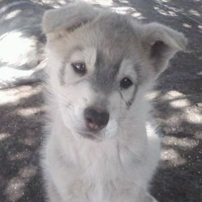 chitokrm's profile picture. backup account /
.gg/xyz