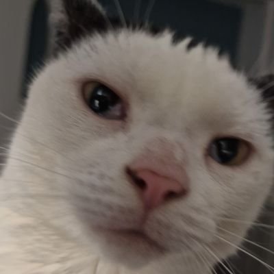 Gawwwii's profile picture. 20