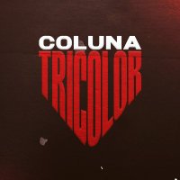 ๐ฐ๐ผ๐น๐๐ป๐ฎ๐๐ฟ๐ถ๐ฐ๐ผ๐น๐ผ๐ฟ (@colunatricolor) 's Twitter Profile