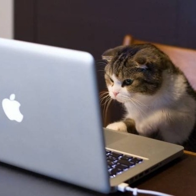 InteresnoEto's profile picture. 