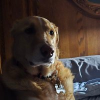 Scott H (@scotthanse) 's Twitter Profile